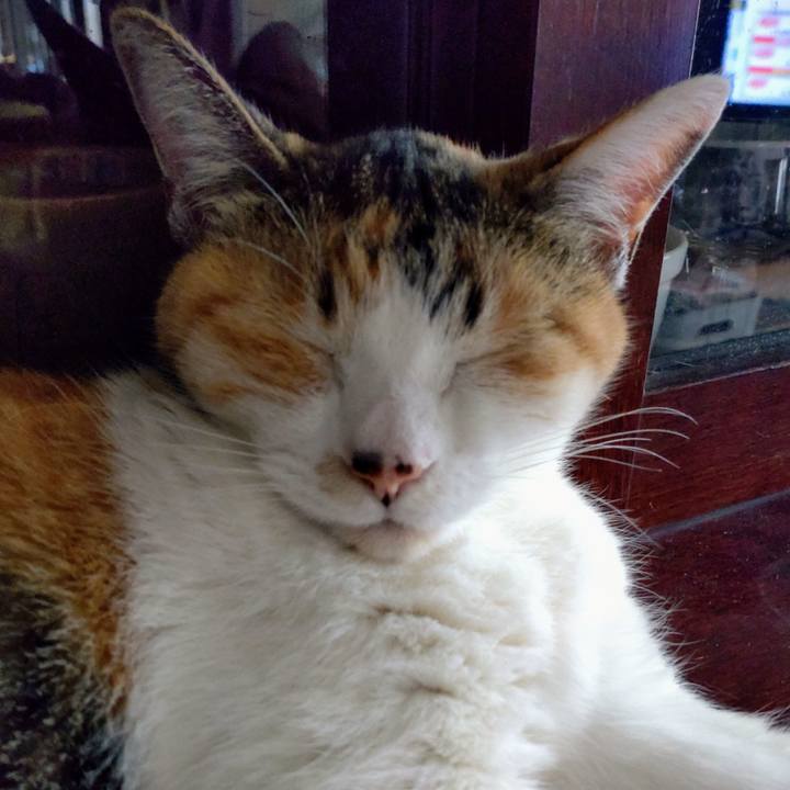 41d8f2f3 565b 4319 8fbf dc64757dd2cc 1682920656083