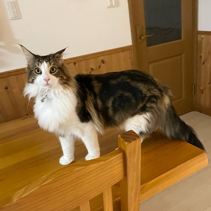 41d94df4 9539 4eaf 9ad6 955af1d8d592 1647289144638