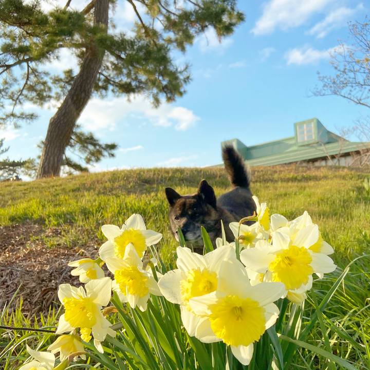 41d95ec1 d147 40e7 a296 7c138fdfee3b 1585558506232