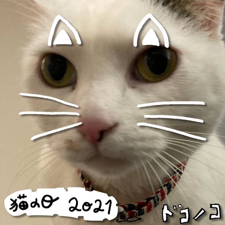 41d97840 207f 4948 ae3b 4fa80e225233 1613996741407