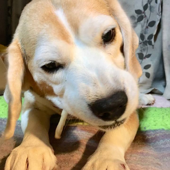 41d97d70 19b5 4ff8 a3c7 f800f9653c28 1559795910415