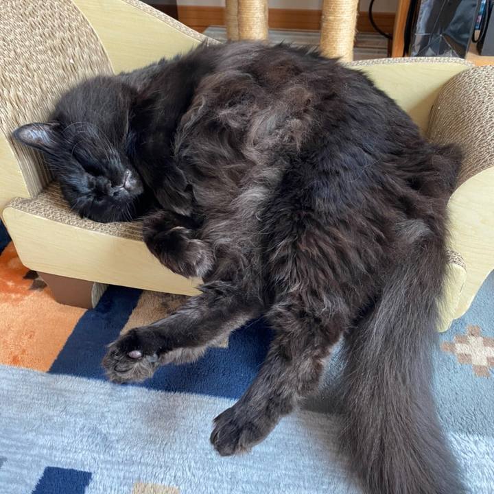 41d9a9c6 4ef3 41bc bd12 154addc479ae 1592895055655