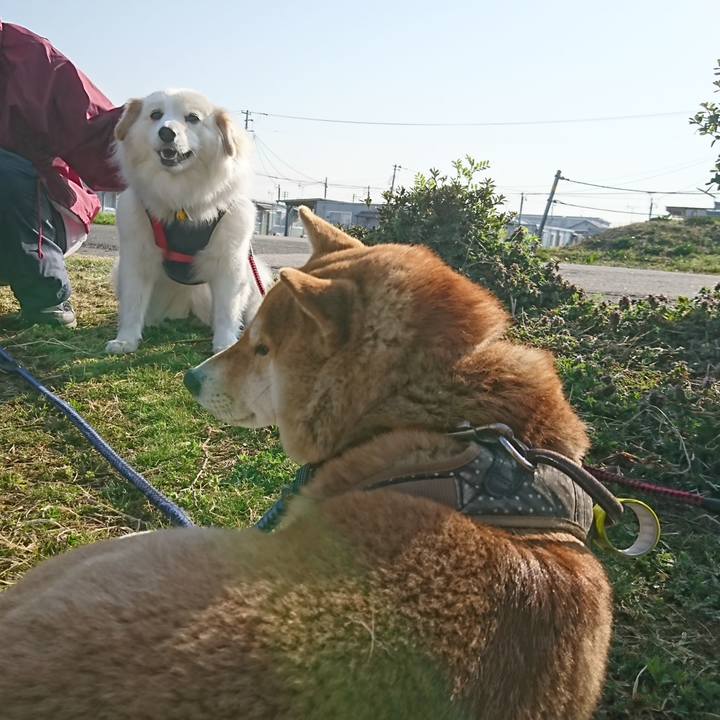 41d9acf6 3192 42fc 9c71 20c5b06232cb 1522193038542