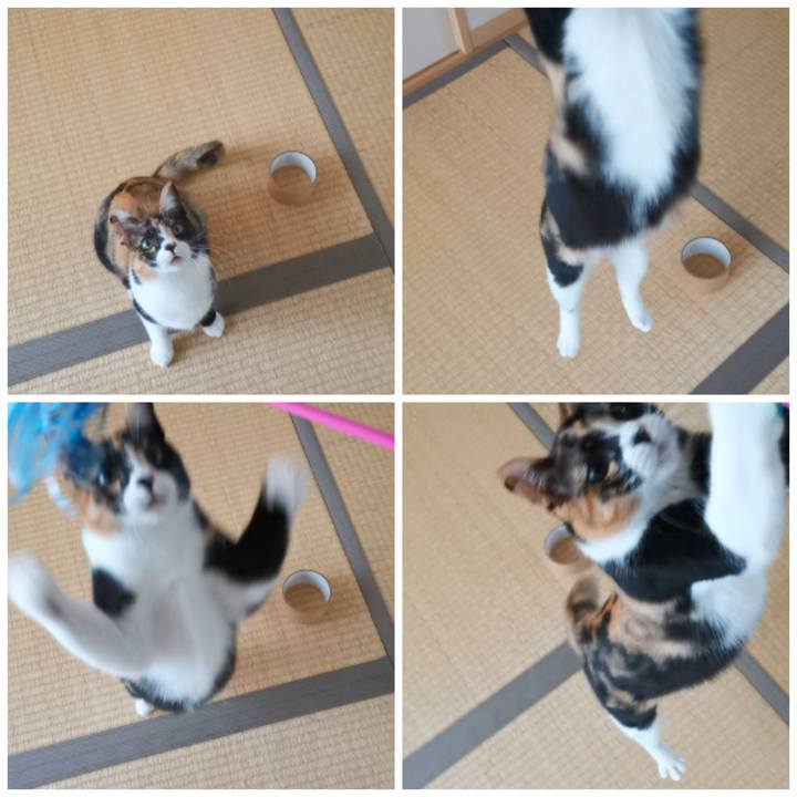 41d9ad41 1abd 4e3d 994a da176bd676b4 1609387275122