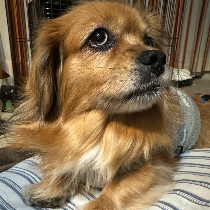 41d9ffe6 46e3 4073 867c dba2c5d8744b 1733347031467