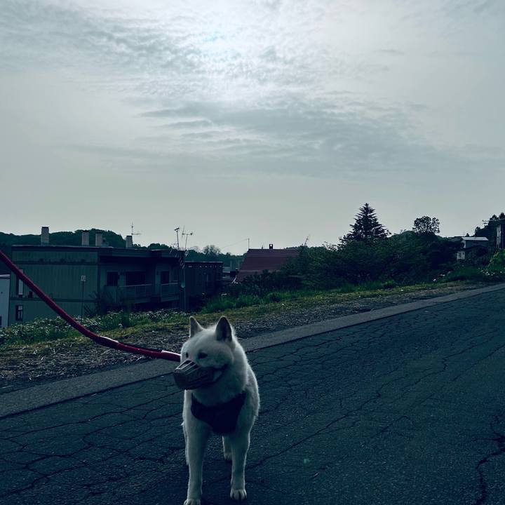 41da07b8 71f8 4b77 91fb 3f2acc173b29 1684704363409