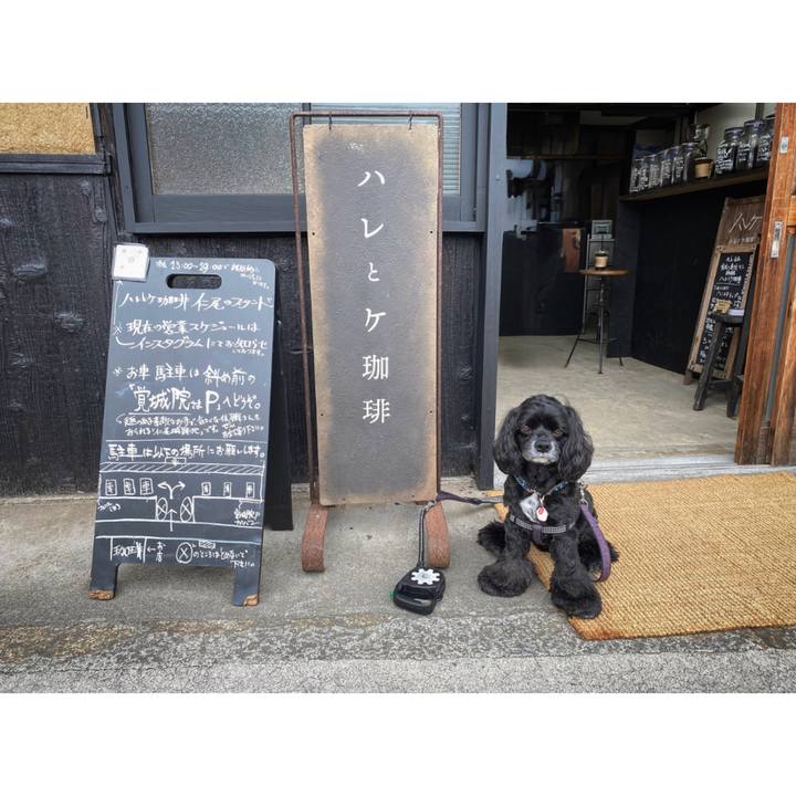 41da0eb7 c0a5 4606 851e bc5bcb7a95af 1685273779444