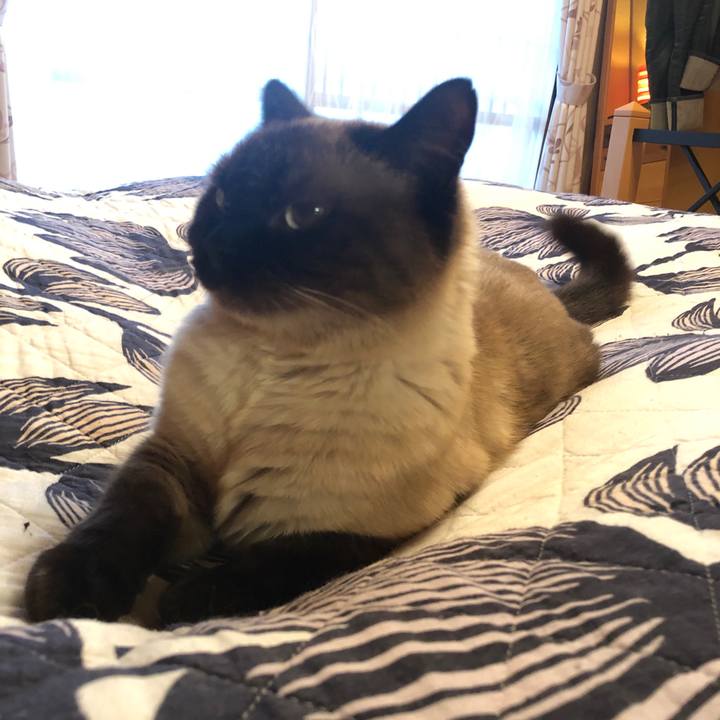 41da2db4 8443 4746 b1d0 6a293ceb82fc 1624058580961