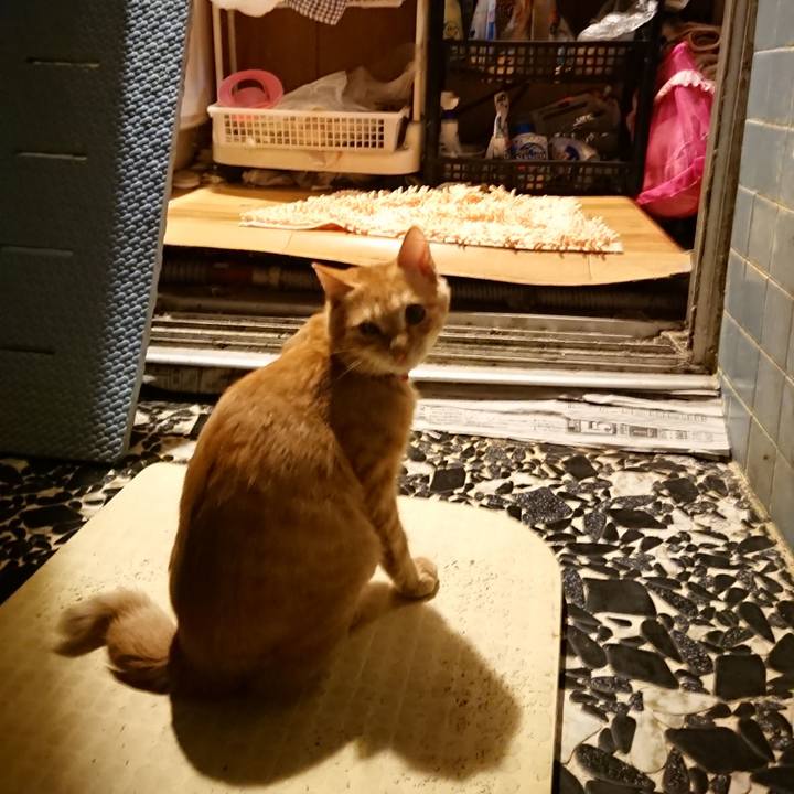 41da4db2 cc48 4783 a02c 1f26729ac302 1635155202224