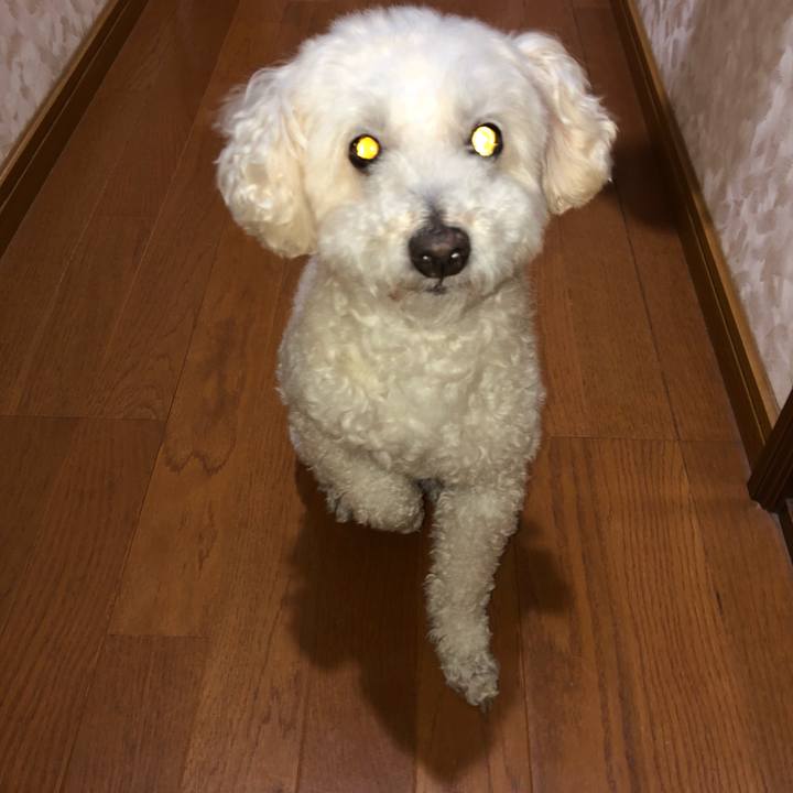 41da6b75 cb35 4974 aa37 18d1aaa3ca42 1528471234159