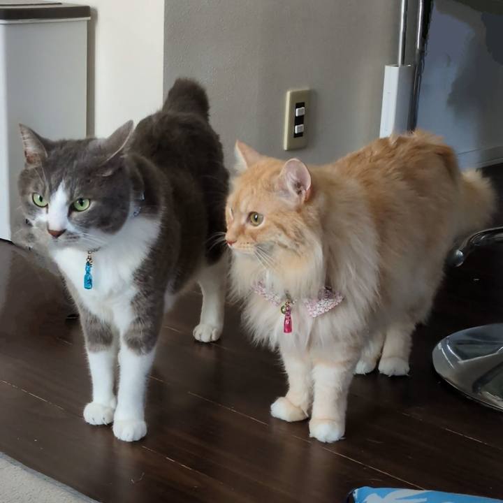 41da7ba0 d632 4da3 8658 d80600248a12 1752897926734