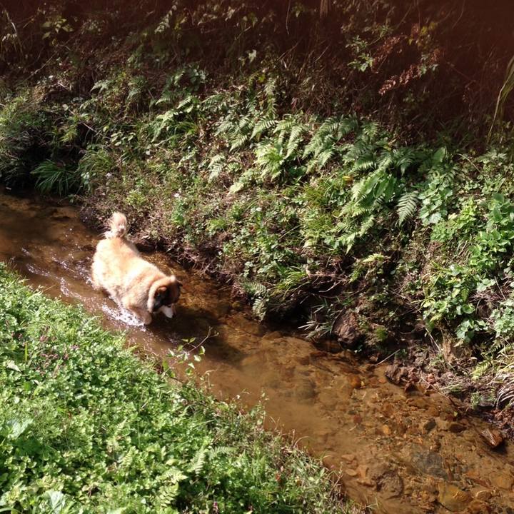 41da9d16 d4fe 411b b6c3 565423e288ec 1583059051807