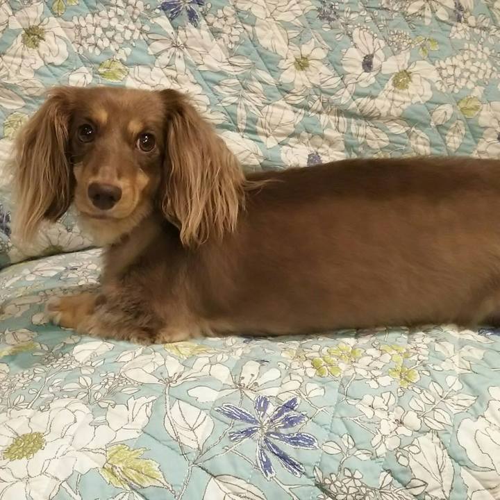 41daaace c275 464d a07e 07ed686198a3 1533818492764