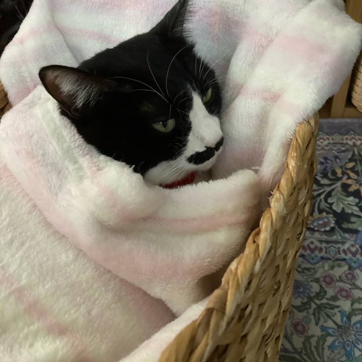 41dacbdb e16c 49fa a662 1378ea5c4019 1764920181001