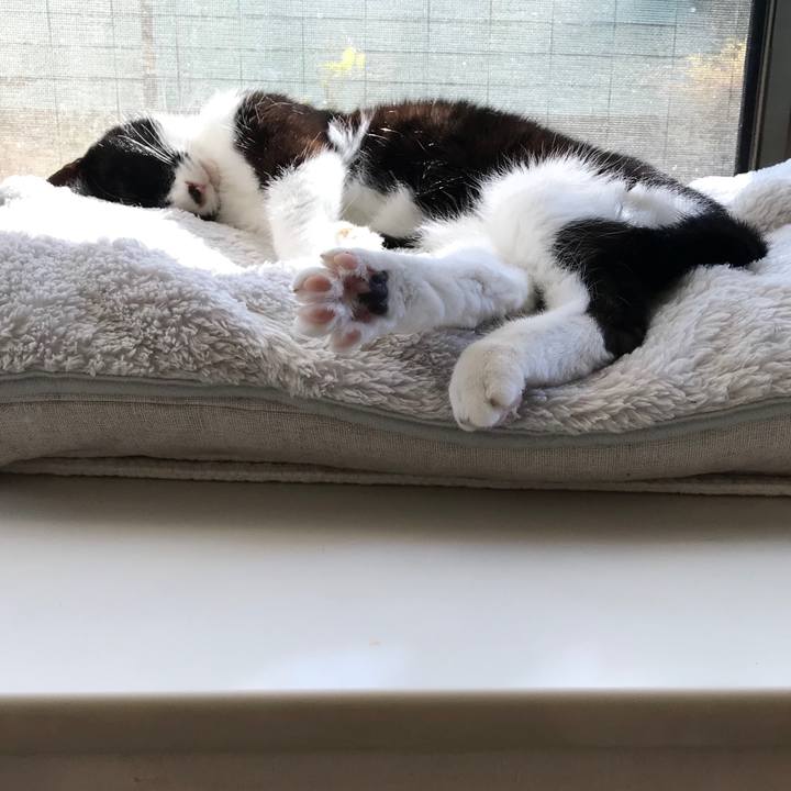 41dad702 9597 4261 a0ed 449d593d85f2 1515648354225