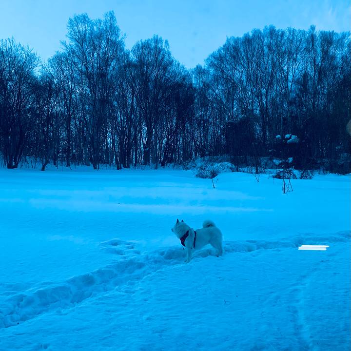 41db4e80 2934 48d5 9100 a0de7d9bea9b 1612420594617