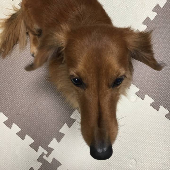 41db7f4d e4e2 4cb4 af1b 2f054fe0aca9 1515157731589