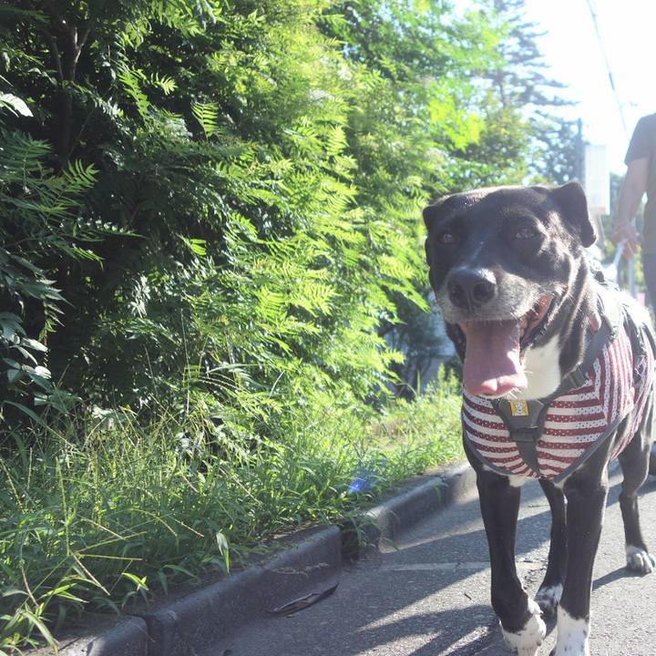 41dbb73f 3f4b 4092 a92d 7454a080a846 1659917539902