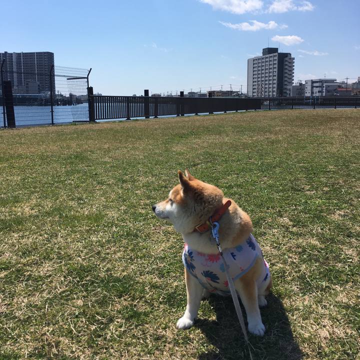 41dbd496 2262 4905 9cd6 5335aef0433c 1554177105849