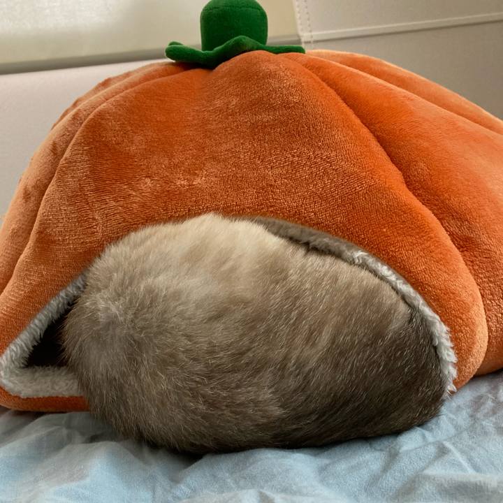 41dbf891 ff5a 4293 8f42 7415dcc598a9 1649135888031