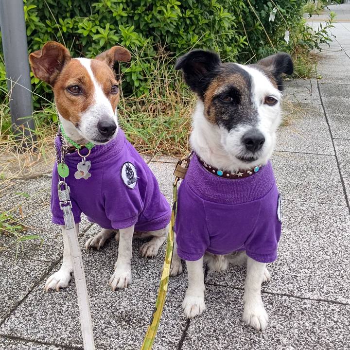 41dc19b2 ce18 42c1 8cb0 e0bae8eafba7 1663456378204