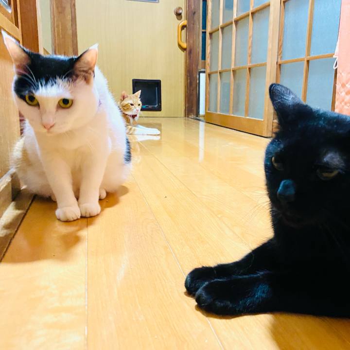 41dc3393 f06a 48f5 90f7 77069c97b683 1693003058656