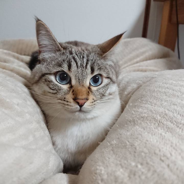 41dc63b5 0cfe 4969 8998 e5907b0c1127 1553866041821