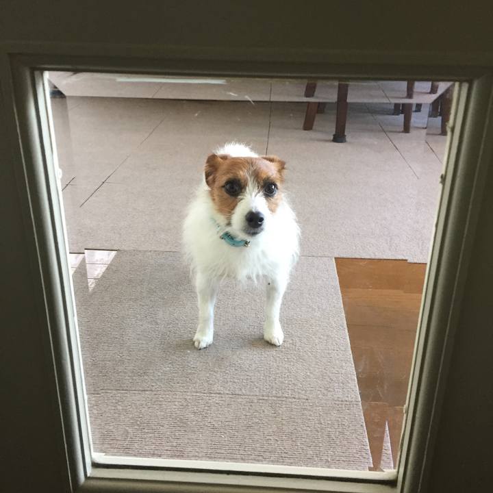 41dc7fbf 29bc 4971 8ec0 54df2a4a60d3 1513705438660