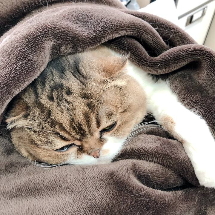 41dc8b00 ebfa 4535 a3e9 b75eaef2c9ff 1587005925665