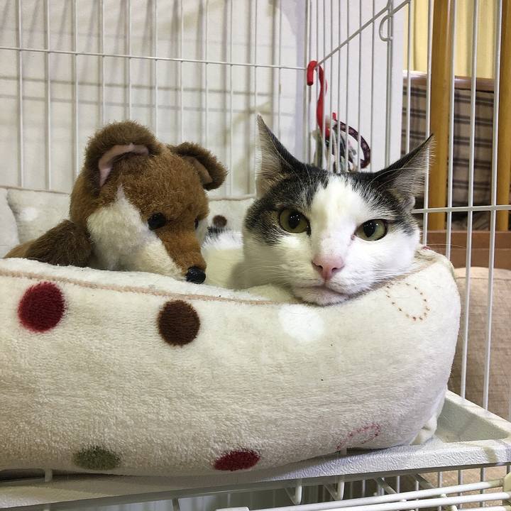 41dc9007 8376 4d0e b71b beac067937a7 1701266503890