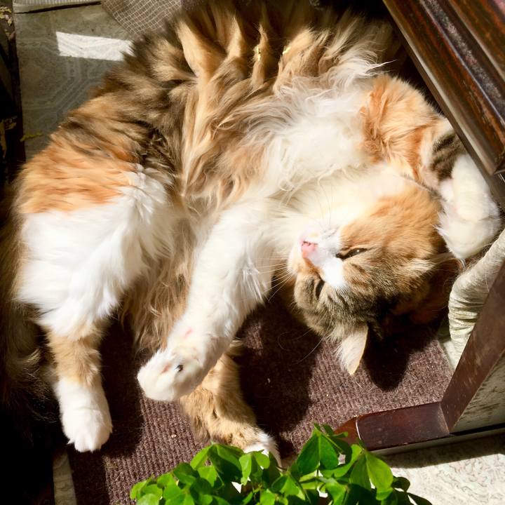 41dccc07 bc57 4d5c a9e0 be3be8554682 1554846475114