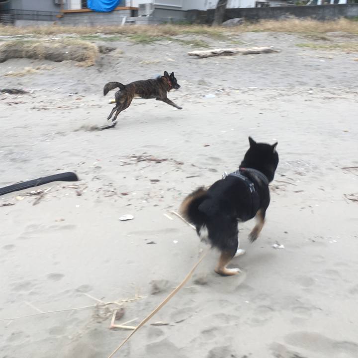 41dcfd44 3265 454b 8379 87a2803c5f99 1543707158957