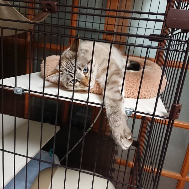 41dd0dbd 2652 4089 a139 54fbb1eaefa7 1547133172991