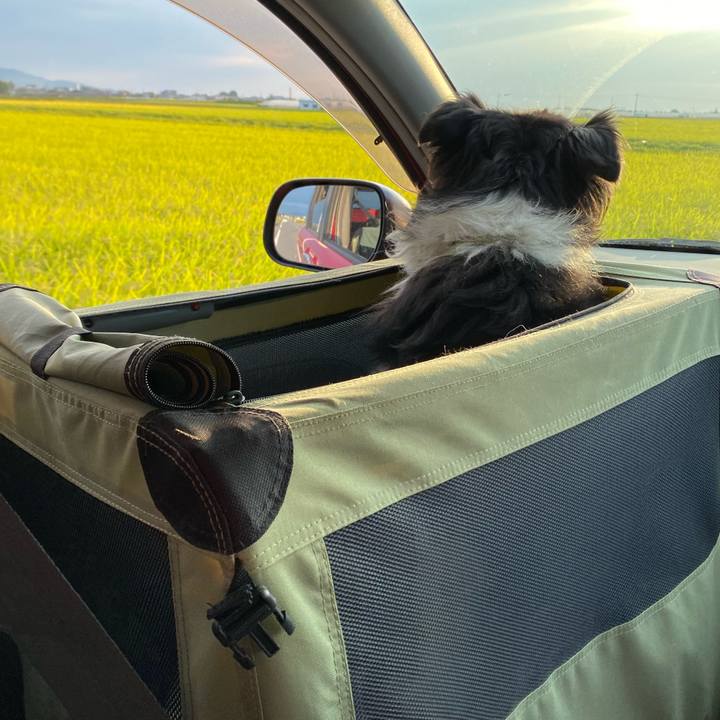 41dd27cc 3f8d 46ff b88b 5ad8124d6608 1632731119572