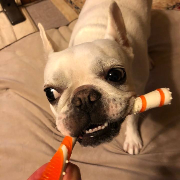 41dd45c2 5c3f 4061 9bf6 39b28e166fff 1572534641767