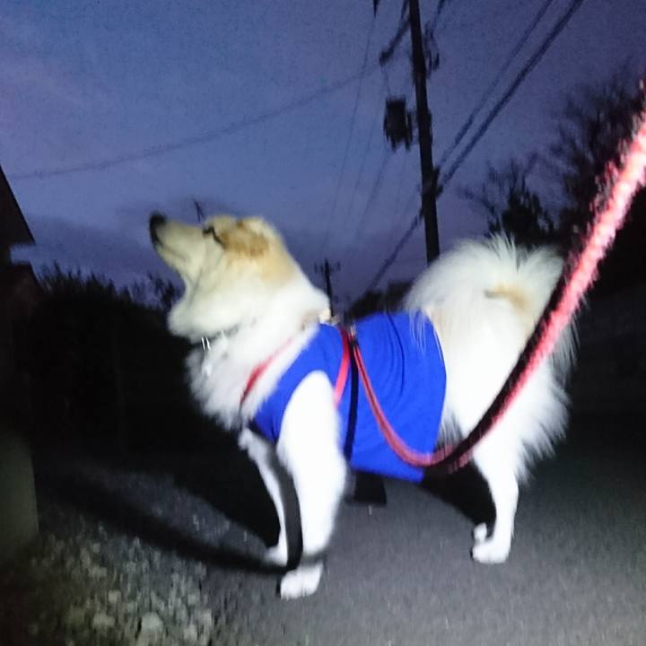 41ddd528 130e 4b38 a031 61f4b4ad1ee8 1512163234890