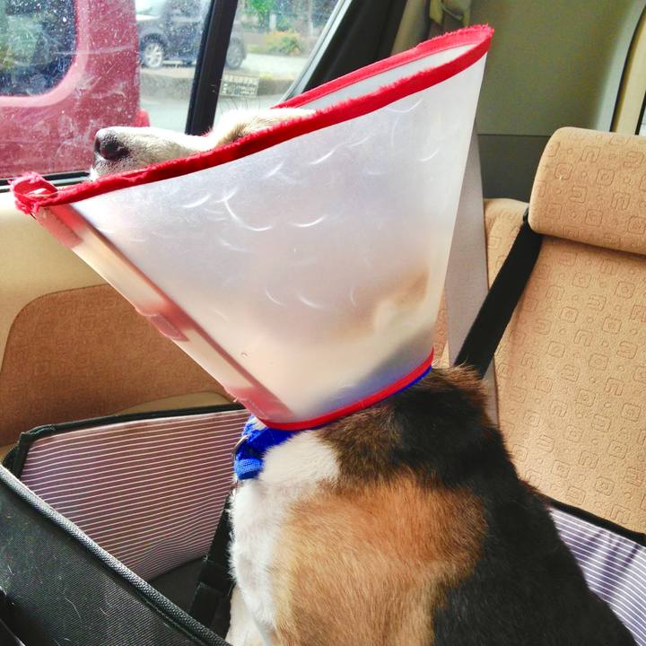 41ddd98b de8b 410d 987f e44a3fdadf3e 1753269962505