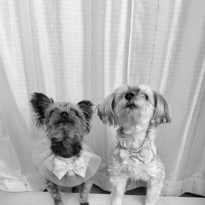 41de3139 55d3 463e 9d31 cf78a2f0853a 1763866069780