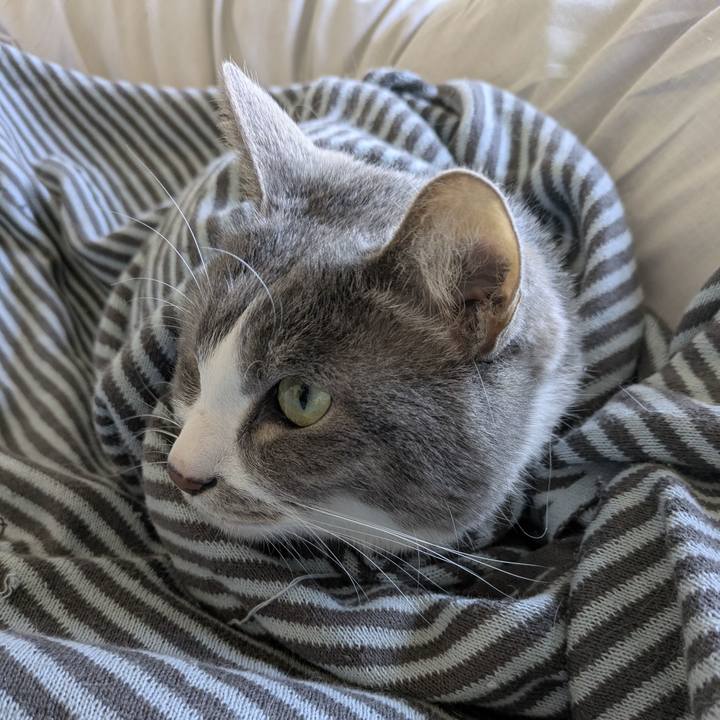 41de9f26 e67f 43f4 b56a 62ef33477206 1773024599701