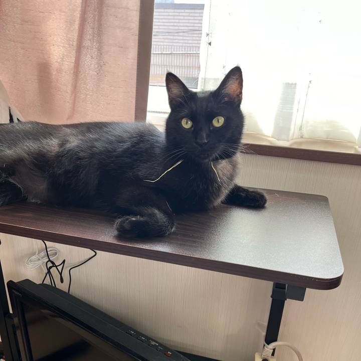 41decebc d523 4f76 ac83 b003c44bbe20 1716686168395