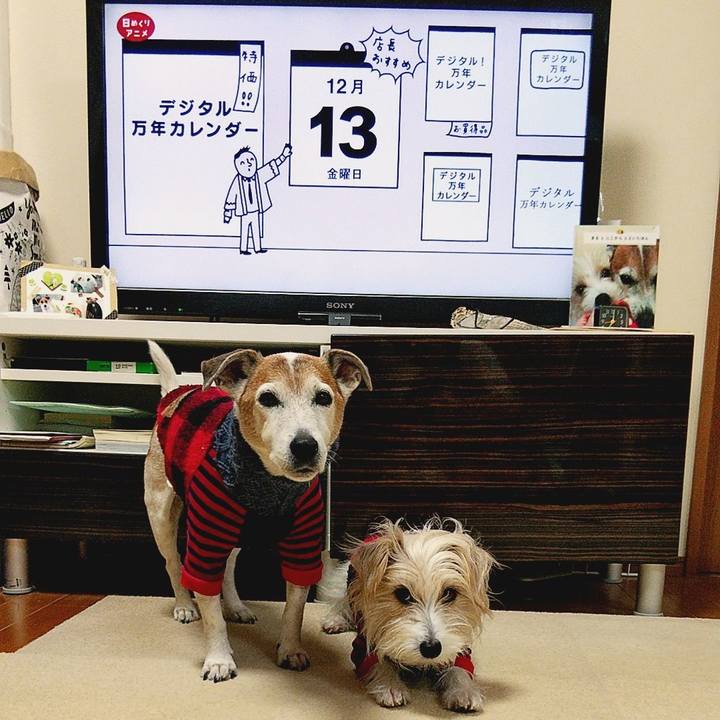 41df0d7a 103b 46a9 a759 5bbee48a5e58 1576189828031