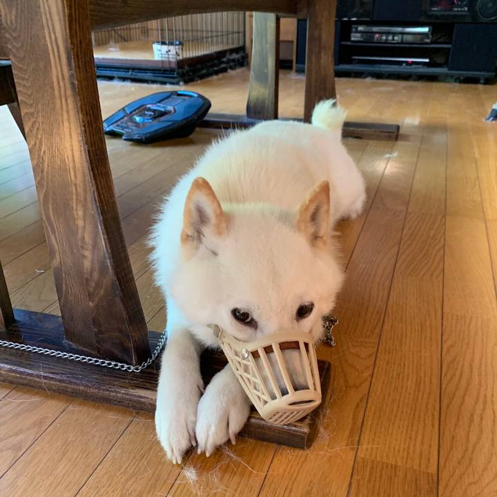 41df7e0e e091 45f3 bb95 23662db0ddde 1562029552887