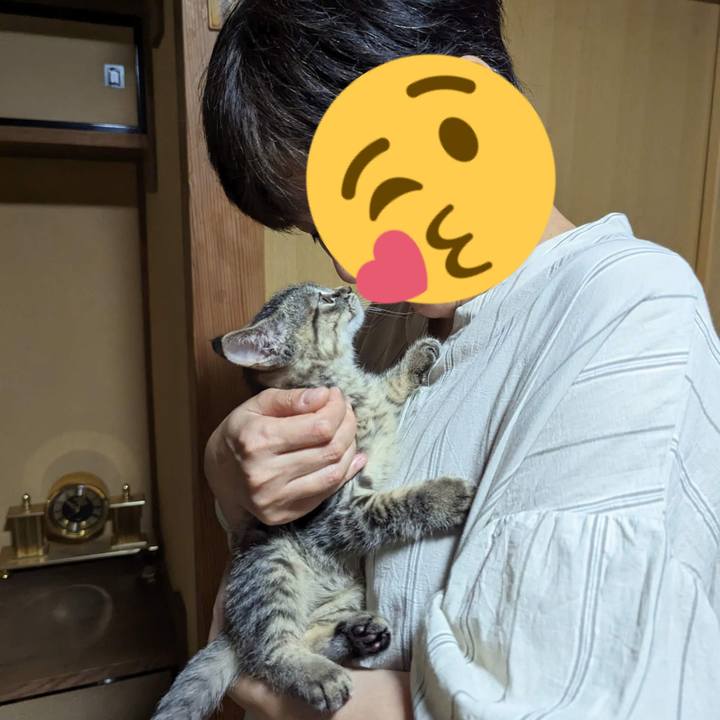 41df8ae4 8609 4805 95b2 5ce6a5fb6e6f 1699073301566