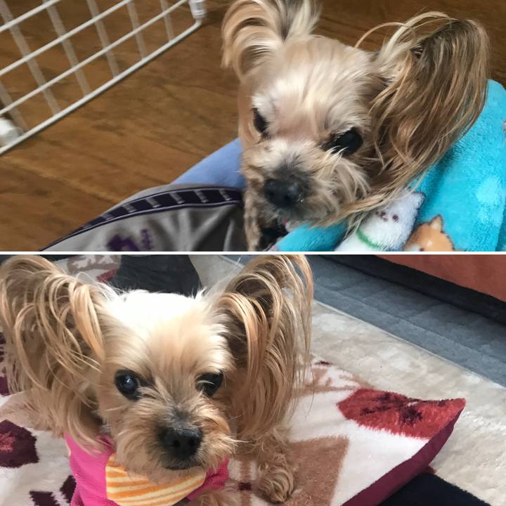 41df8fd6 f829 4033 a315 314de3ae100e 1645347629044