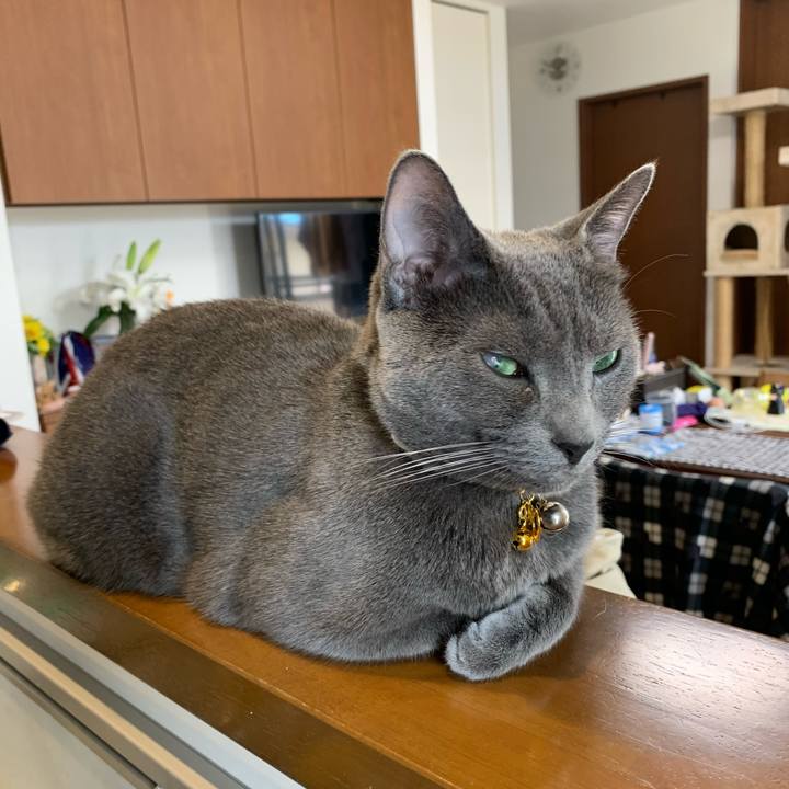 41df946b 0680 40eb a39a 5ed65b9583f3 1619844575155