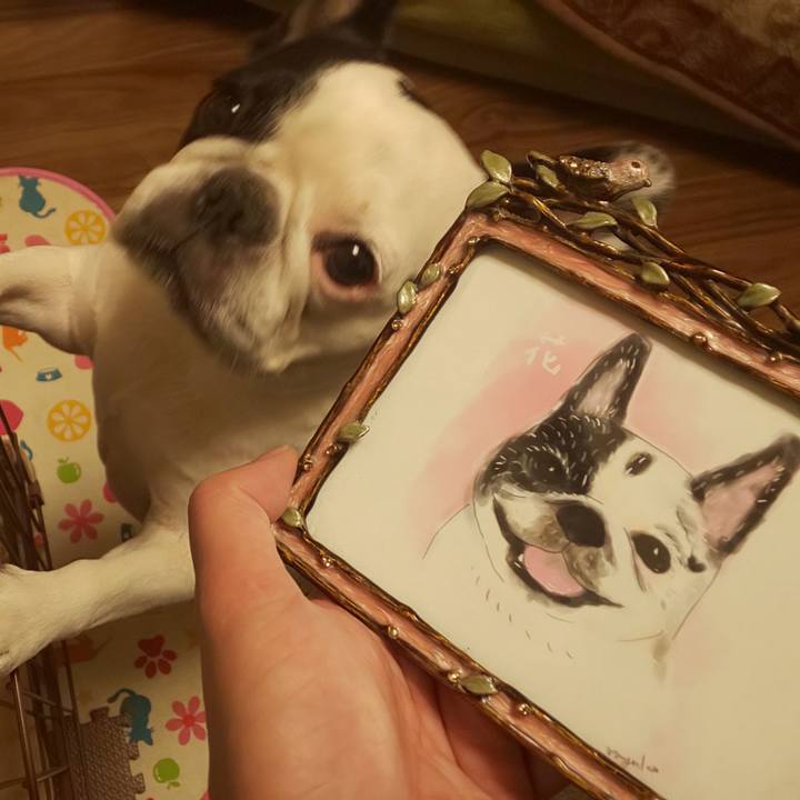 41df95a3 29a2 47ba 9ea1 145ba393a650 1573131344491