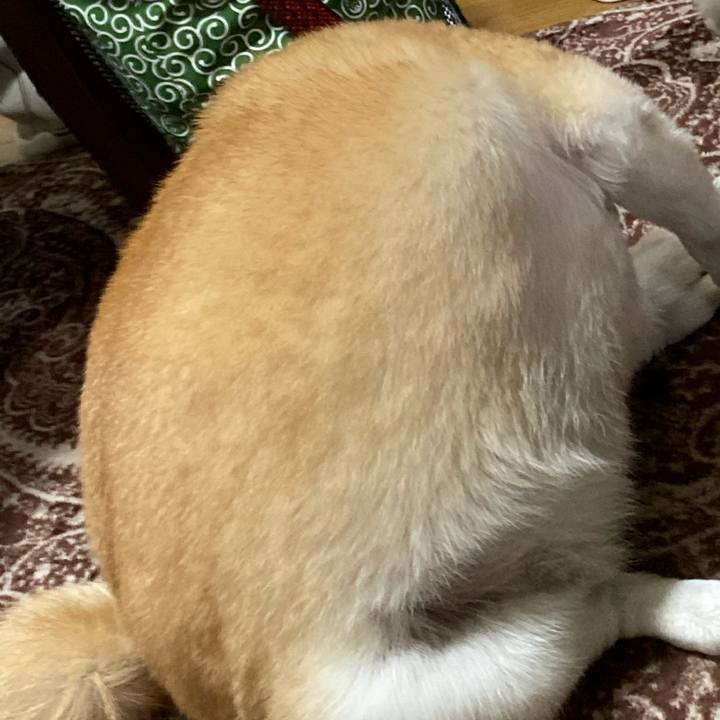 41df9a60 5f4d 46eb 9f21 7210f9c2e805 1617108472012