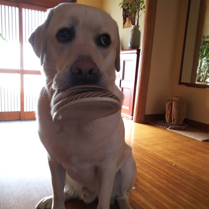 41dfbf2c d569 4dca ab23 188753003077 1518833345275