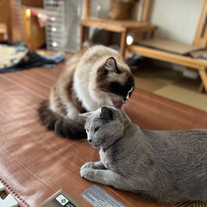 41dfd46e da84 46af 9c1e 83b40ea7ae30 1701382884777