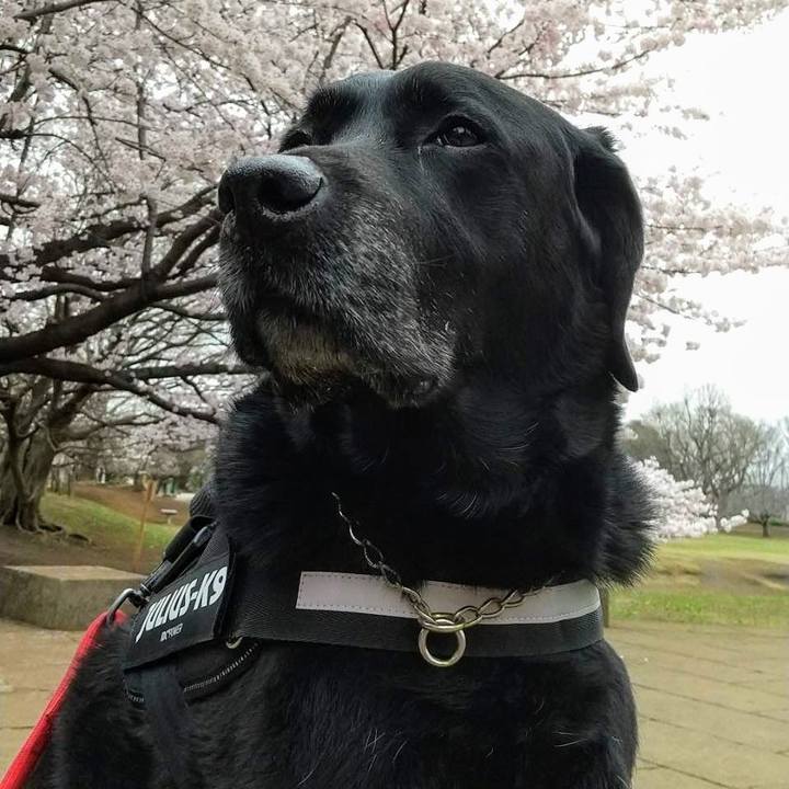 41dffd9f 675a 42ad bdad bbade8e72c7e 1737268797471